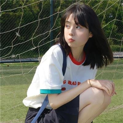 良种动物海报